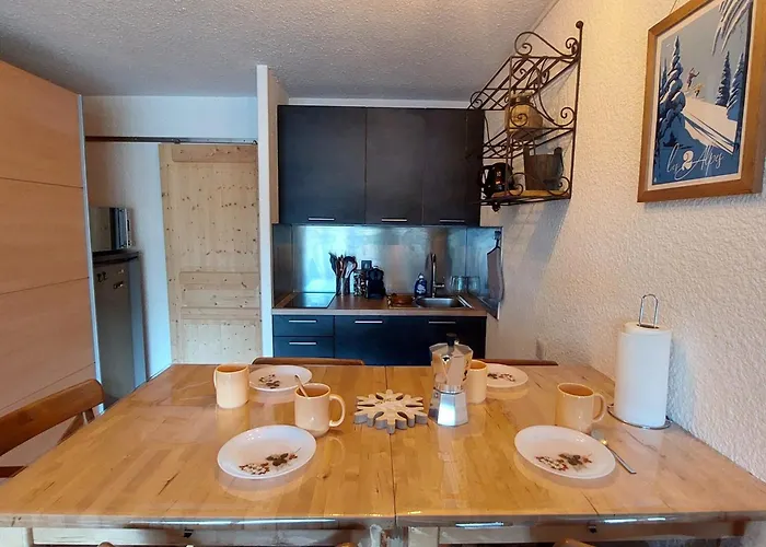 Apartment Renove Aux Deux Alpes, Proche Des Pistes, 4 Personnes - Fr-1-516-227 *