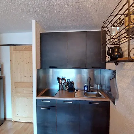 Apartment Renove Aux Deux Alpes, Proche Des Pistes, 4 Personnes Les Deux Alpes
