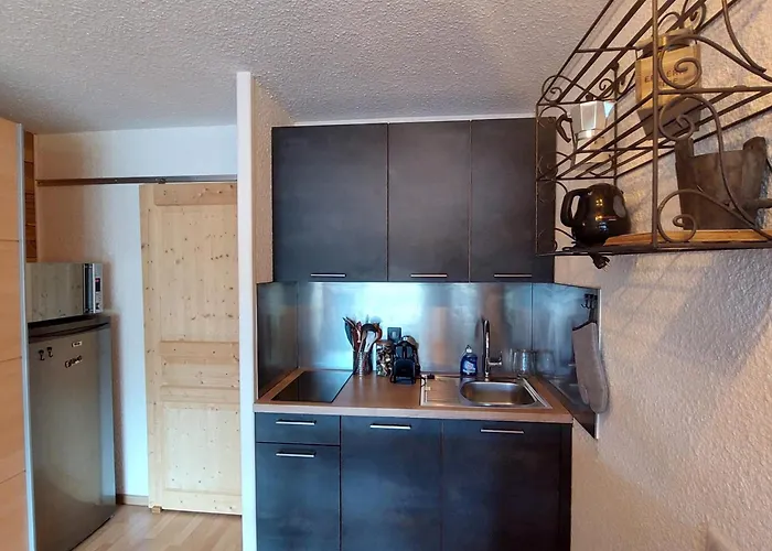 Апартаменты Renove Aux Deux Alpes, Proche Des Pistes, 4 Personnes - Fr-1-516-227 Ле дез Альп