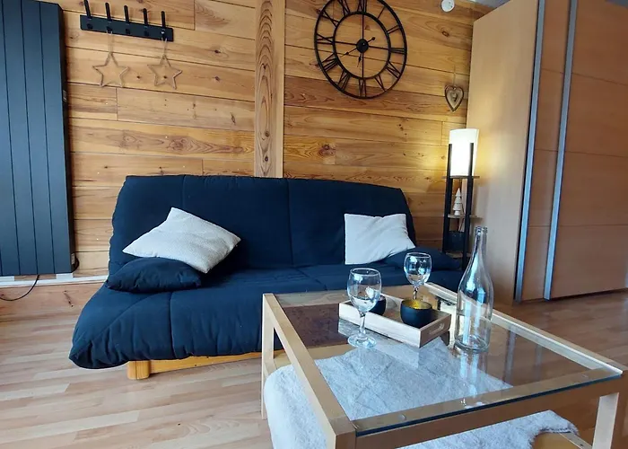 Апартаменты Renove Aux Deux Alpes, Proche Des Pistes, 4 Personnes - Fr-1-516-227 *